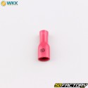 Terminali piatti femmina completamente isolati 0.8x4.8 mm WKK rosso