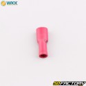 Fully insulated female flat terminals 0.5x4.8 mm WKK red