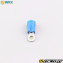 Insulated eyelet terminals Ø3.7 mm WKK blue (pack of 100)