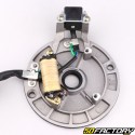 Ignition stator YX, Lifan... 125, 140... 4T