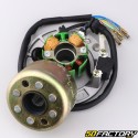 Mini rotore di accensione completo Zongshen Fiddy, Daytona 110, 125 4T V2