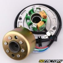 Complete ignition mini rotor Zongshen Fiddy, Daytona 110T V125