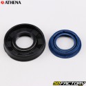 Cuscinetti e paraoli albero motore Minarelli verticali e orizzontali MBK Booster,  Nitro... Athena