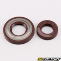 Crankshaft spinnaker bearings and seals (top premium) Vespa Primavera , ETXNUMX