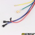 Honda Camino wiring harness