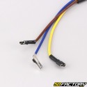 Honda Camino wiring harness