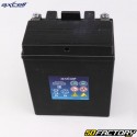 Batteria al gel Axcell AB14-A2/B2 12V 14Ah Honda CBX, VF...