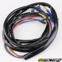 Honda Camino wiring harness