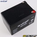 Batteria per tosaerba Axcell AP12-12 12V 12Ah senza manutenzione