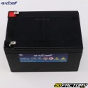 Batteria per tosaerba Axcell AP12-12 12V 12Ah senza manutenzione