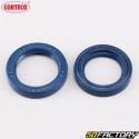 Engine seals Vespa PK 125 (1982 - 1989) Corteco