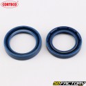 Engine seals Vespa PK 125 (1982 - 1989) Corteco