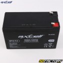 Axcell AP12-7.2 12V 7.2Ah wartungsfreie Säure-Rasenmäherbatterie