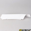 Engine housing fairings (cowlings) Honda Camino white