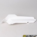 Engine housing fairings (cowlings) Honda Camino white