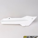 Engine housing fairings (cowlings) Honda Camino white