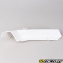 Engine housing fairings (cowlings) Honda Camino white