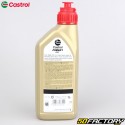 Engine oil 2T  Castrol A747 1L