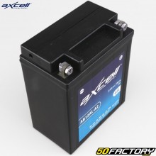 Axcell AB12AL-A2 12V 12.6Ah Gel-Batterie Peugeot Citystar,  Yamaha XT, XV ...