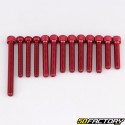 Clutch housing hardware, water pump cover and oil pump cover Derbi Euro 3, 4 red (kit)