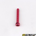 Clutch housing hardware, water pump cover and oil pump cover AM6 Minarelli red (kit)