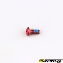 Brake disc screw for scooter, electric scooter (set of 12) red