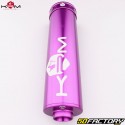 Exhaust Beta  RR XNUMX (since XNUMX) KRM Pro Ride Super biker XNUMX/XNUMXcc silencer full purple