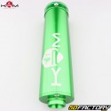 Exhaust Beta  RR XNUMX (since XNUMX) KRM Pro Ride Super biker XNUMX/XNUMXcc silencer full green