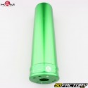 Exhaust Beta  RR XNUMX (since XNUMX) KRM Pro Ride Super biker XNUMX/XNUMXcc silencer full green