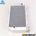 Radiator Yamaha  YFZ XNUMX R (XNUMX - XNUMX), YFZ XNUMX X (XNUMX - XNUMX) Quad Racing