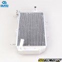 Radiator Yamaha  YFZ XNUMX R (XNUMX - XNUMX), YFZ XNUMX X (XNUMX - XNUMX) Quad Racing