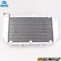 Radiator Yamaha  YFZ XNUMX R (XNUMX - XNUMX), YFZ XNUMX X (XNUMX - XNUMX) Quad Racing