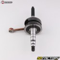 Vilebrequin 1PE40QMB TNT Motor, Keeway, Generic... 50 2T Naraku (axe de Ø12 mm)