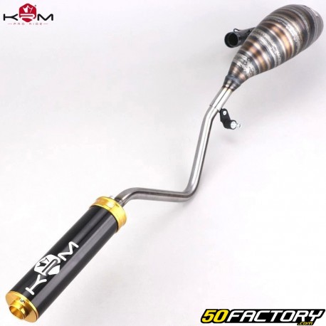 Exhaust Beta  RR XNUMX (since XNUMX) KRM Pro Ride Super biker XNUMX/XNUMXcc muffler gold