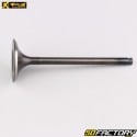 Intake valve KTM SX, EXC 525 (2003 - 2007), Beta RR 400 (2005 - 2009) ... ProX