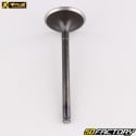 Intake valve KTM SX, EXC XNUMX (XNUMX - XNUMX), Beta  RR XNUMX (XNUMX - XNUMX) ... ProX