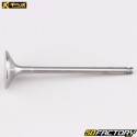 Soupape d'échappement titane Yamaha YZF 250 (depuis 2014), Fantic XXF 250... ProX