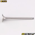 Titanium exhaust valve KTM SX-F 250 (2013 - 2022), EXC-F, Husqvarna FE (since 2014)... ProX