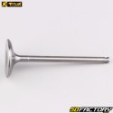 Titanium intake valve Yamaha  YZF 2000 (since 2000), Fantic  XXFXNUMX... ProX