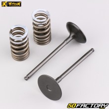 Intake valves and springs Suzuki  RM-Z XNUMX (since XNUMX) ProX