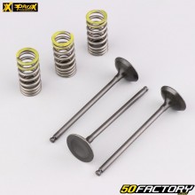 Intake valves and springs Yamaha  YZF, WR-F XNUMX (XNUMX - XNUMX)... ProX