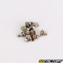 Bastoncini per guarnire Vespa GT, GTR 125, Sprint 150, SS180