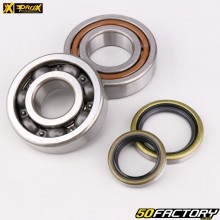 KTM crankshaft bearings and oil seals SX  XNUMX (XNUMX - XNUMX), EXC XNUMX (XNUMX - XNUMX)... ProX