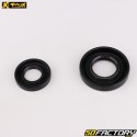 Rolamentos e vedações do virabrequim Yamaha YZ 250 (desde 2001), Fantic XX 250 (desde 2022) ProX