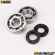 Crankshaft bearings and seals Yamaha  YZ XNUMX (since XNUMX), Fantic  XX, XE XNUMX (since XNUMX) ProX