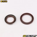 Roulements et joints spi de vilebrequin KTM SX-F 250 (2013 - 2015), 350 (2011 - 2015)... ProX