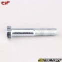 Tornillo golpeador XNUMXxXNUMX mm Vespa  paquete XNUMX, Primavera , ETXNUMX XNUMX...