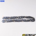 Chainsaw chain 0.325&#39;&#39;, 1.6 mm, 67 links Ozaki