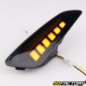 LED-Blinker vorne dynamisch Vespa Sprint, Primavera 50