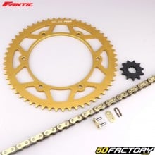 Reinforced chain kit XNUMXxXNUMXxXNUMX Fantic  XE, XM XNUMX (since XNUMX) gold